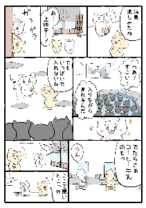raon_onneko-1465999118589960205-20211201_200001-img1.jpg